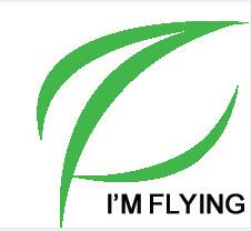 Dongguan I Am Flying Industry Co.,Ltd