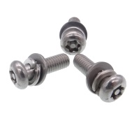 Custom Stainless Steel 304 316 Combination SEMS Screws with Washer Assemblies