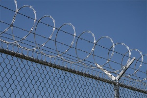 Concertina wire razor barbed wire security fence wire