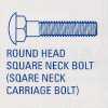 Round Head Square Neck Bolt ( Square Neck Carriage Bolt ) - P20