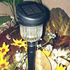 Solar Garden Light