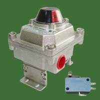 Stainless Steel Valve Monitor