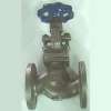 Globe flange end valve