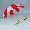 Fashion Golf Umbrella