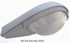 Street Light (DS-202)