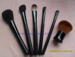 cosmetic brush