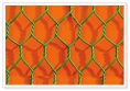 hexagonal wire netting