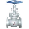 API Globe Valve