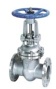 Gate Valve