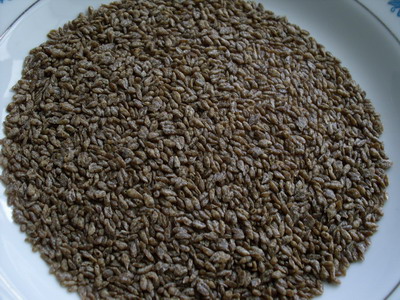 parboiled bitter buckwheat