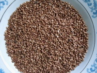 Roasted buckwheat kernel