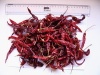 Red chillies