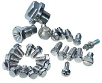 stainless steel screws