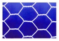 hexagonal fence