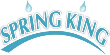 SPRINGKING INDUSTRY