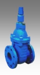 Resilient seated gate valve