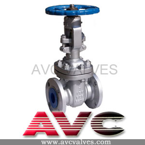 AVC Cast Steel Gate Valve