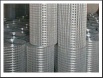 Welded Wire Mesh