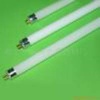 T5 fluorescent lamps