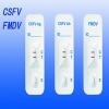 Rapid CSFV Test