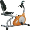 Vibrant Recumbent Bike