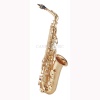 Alto Saxophone