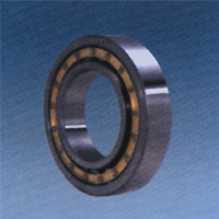 Cylindrical Roller Bearing