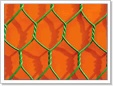 Hexagonal Wire Netting