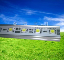 LED Rigid light