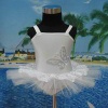 dance dress,princess dress,leotard,fairy dress - FD-0143