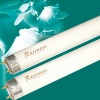 Fluorescent Tube