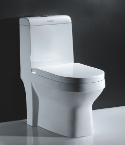 Wash down one-piece toilet