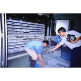 contact plate freezer