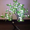 LED Tree Light