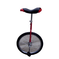 Unicycle