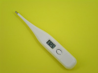 digital thermometer