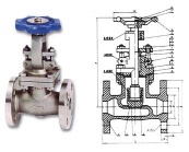 gate valves