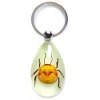 insect amber fashion jewelry necklace pendant