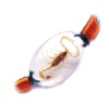 insect amber jewelry bracelets bangle