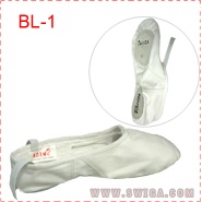 ballet dance shoes