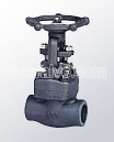 Forged steel gate valves