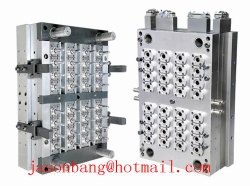 PET  Preform Mould