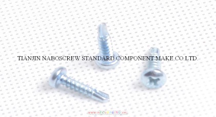 Self Drilling Screws