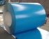 prepainted steel sheet &coil& PPGI