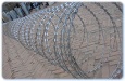 razor barbed wire