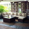 plastic rattan sofa set