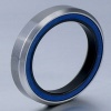 Bicycle Headset Sealed Bearings