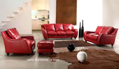 Leather sofa