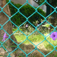 Chain Link Fence in galvanized wire/PVC wire