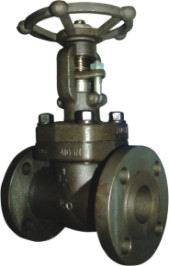 API Globe Valve